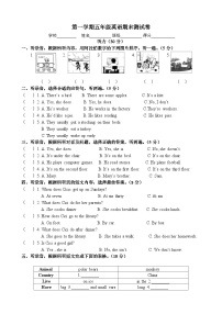 期末测试卷（试题）-2024-2025学年译林版（三起）（2024）英语五年级上册