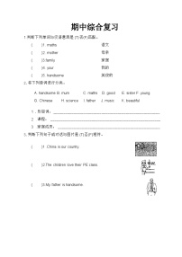 期中（试题）-2024-2025学年辽师大版（三起）英语三年级上册