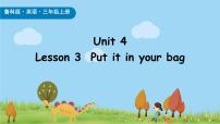 小学英语鲁科版 (五四制)三年级上册Unit 4 BodyLesson 3 I have two eyes.评课ppt课件