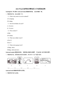 2023年山东省青岛市黄岛区小升初英语试卷