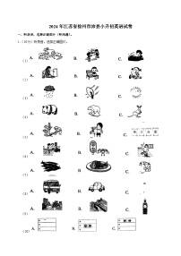 2024年江苏省徐州市沛县小升初英语试卷