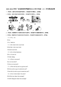 广东省深圳市罗湖区布心小学2023-2024学年六年级（上）月考英语试卷