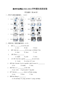 浙江省温州市龙湾区2023-2024学年五年级上学期期末英语试题