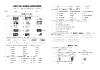 期末 （试题） -2024-2025学年人教PEP版（2024）英语三年级上册