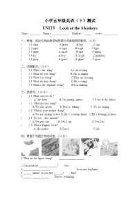 人教版pep小学英语五年级下册Unit5单元测试卷