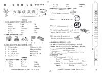 河北省邢台市威县枣园校区2024-2025学年六年级上学期第一次月考英语试题