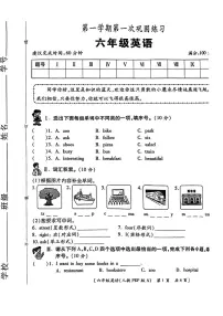陕西省渭南市临渭区2024-2025学年六年级上学期第一次月考英语试题