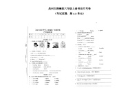 河南省许昌市禹州市双语实验学校2024-2025学年六年级上学期10月月考英语试题