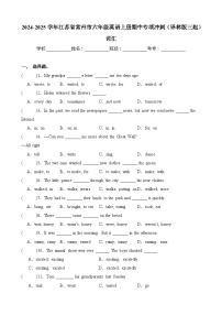 词汇-2024-2025学年江苏省常州市六年级英语上册期中专项冲刺（译林版三起）