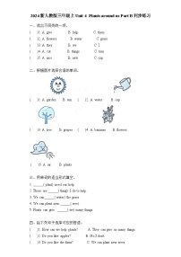 人教版PEP（2024）三年级上册（2024）Part B优秀课时练习