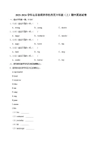 山东省菏泽市牡丹区2023-2024学年六年级（上）期中英语试卷