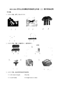 山东省潍坊市诸城市2023-2024学年五年级上学期期中英语试卷
