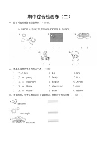 期中（试题）-2024-2025学年辽师大版（三起）（2024）英语三年级上册(02)