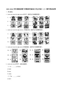 福建省厦门市翔安区振南小学2023-2024学年五年级上学期期中英语试卷