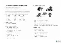 广东省广州市花都区2024-2025学年四年级上学期期中英语试题