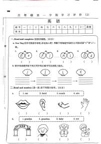 河南省洛阳市伊川县多校2024-2025学年三年级上学期期中英语试题