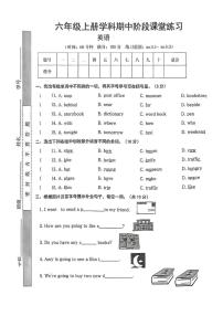 甘肃省嘉峪关市多校2024-2025学年六年级上学期期中英语试题