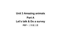 人教版PEP（2024）Unit3 Amazing animals教学课件ppt