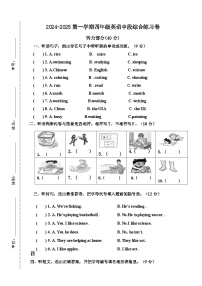 广东省江门市新会区七堡镇南竹柏顺小学2024-2025学年四年级上学期11月期中英语试题