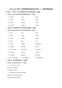 广东省深圳市龙华区2024-2025学年五年级上学期期中英语试卷