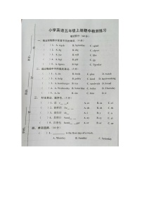江西省吉安市吉水县2023-2024学年五年级上学期期中英语试题