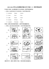 山东省潍坊市奎文区2023-2024学年六年级上学期期中英语试卷