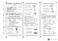 河北省邢台市威县枣园校区2024-2025学年五年级上学期期中英语试题