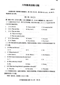 山东省泰安市岱岳区2024-2025学年六年级上学期期中英语试题