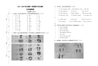 广东省江门市新会区大泽镇沿江小学2024-2025学年三年级上学期11月期中英语试题