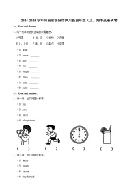 河南省洛阳市伊川县2024-2025学年四年级上学期期中英语试卷