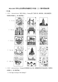 山东省青岛市城阳区2024-2025学年六年级上学期期中英语试卷