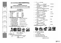 广西壮族自治区河池市2024-2025学年六年级上学期11月期中英语试题