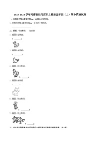 河南省驻马店市上蔡县2023-2024学年五年级上学期期中英语试卷