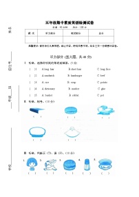 湖南省长沙市宁乡市西部乡镇2024-2025学年五年级上学期11月期中英语试题