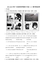 广东省深圳市罗湖区2024-2025学年六年级上学期期中英语试卷