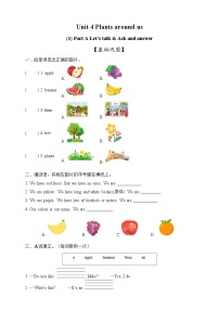 英语三年级上册（2024）Unit4 Plants around usPart A优秀课时练习