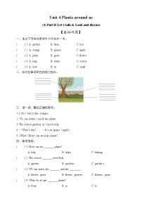 人教版PEP（2024）三年级上册（2024）Part B精品课时训练