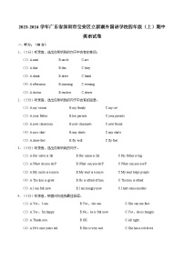 2023-2024学年广东省深圳市宝安区立新湖外国语学校四年级上学期期中英语试卷