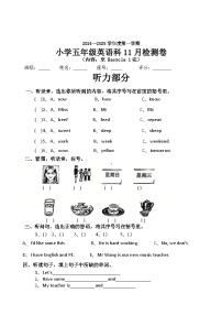 广东省揭阳市榕城区梅云镇群英小学2024-2025学年五年级上学期11月月考英语试题