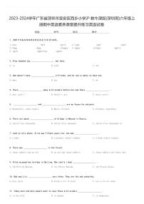 2023-2024学年广东省深圳市宝安区西乡小学沪教牛津版(深圳用)六年级上册期中英语素养课堂提升练习英语试卷(含解析)