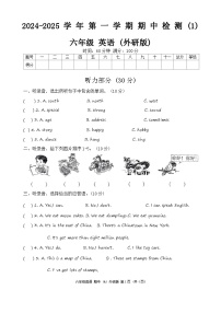 河南省周口市沈丘县李老庄乡等小学2024-2025学年六年级上学期11月期中英语试题