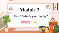 小学英语外研版（三起）2024六年级上册Module 3Unit 2 What’s your hobby?评优课教学课件ppt