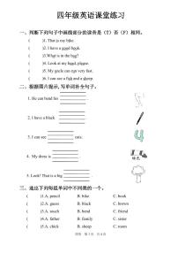 河南省商丘市夏邑县骆集乡多校联考2024-2025学年四年级上学期11月期中英语试题