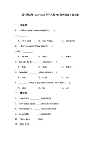 期中测试卷（试题）-2024-2025学年人教PEP版英语五年级上册