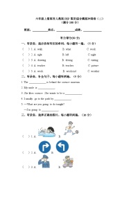 期末（试题）-2024-2025学年人教PEP版英语六年级上册