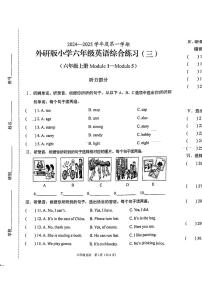 海南省海口市2024-2025学年六年级上学期11月期中英语试题