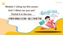 小学英语沪教牛津版(六三制一起)(2024)二年级下册Module 1 Using my five sensesUnit 1 What can you see?一等奖课件ppt