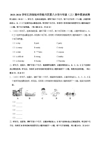 江西省抚州市临川区第八小学2023-2024学年六年级上学期期中英语试卷