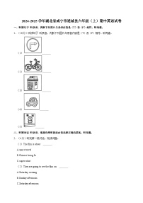 湖北省咸宁市通城县2024-2025学年2024-2025学年六年级上学期期中英语试卷