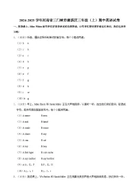 河南省三门峡市湖滨区2024-2025学年三年级上学期期中英语试卷